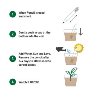Plant A Pencil Kit - Image 4