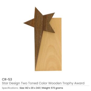 Star Design Wooden Trophy - Image 3