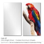 Ultra Bright Silver