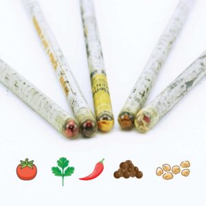 Plantable A Pencils Set - Image 5