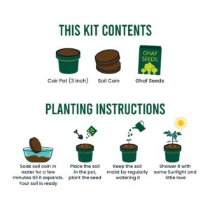Plantable Kit with GHAF Seeds in Kraft Box - Image 4