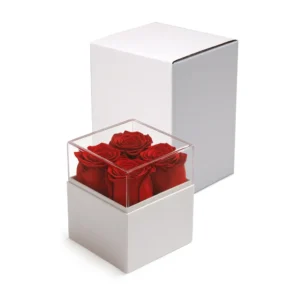 Forever Natural Flowers Gift Box White & Clear Acrylic Lid, 4Pcs Long Life Roses - Image 7